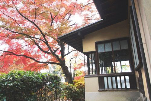 ◆ 京都 大山崎・錦秋の旅へ