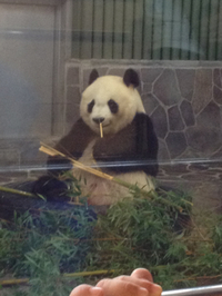 王子動物園(1) 2013/09/07 20:36:27