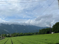 地の利　人の利 2024/09/01 23:40:46