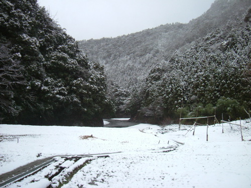 またしても雪