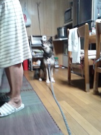 朝ごはんちょうだい 2016/09/21 17:57:33