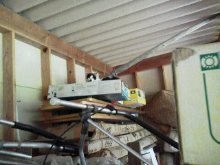 続猫