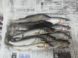 いよいよ、シーズンですな