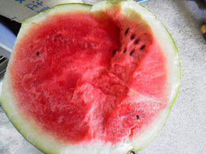 夏も終わりか