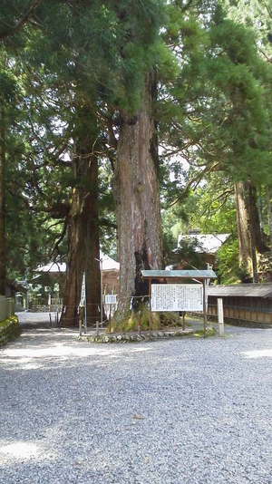 現場確認