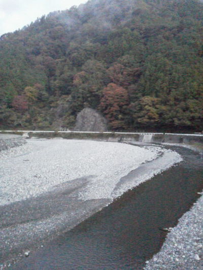 綺麗になりました