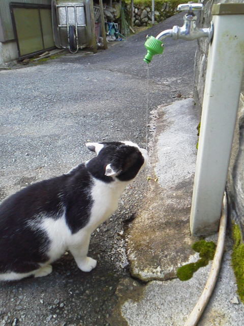 今日も無事終了か