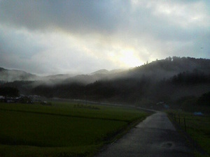 晴れました