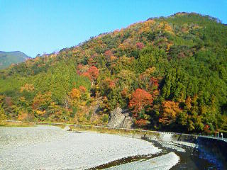 紅葉