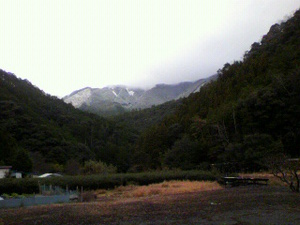 雪だ