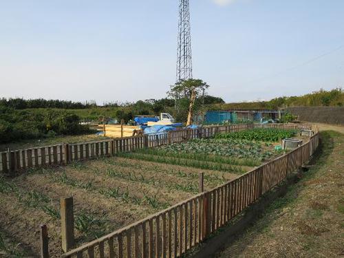 訪問者の撮影した原野谷川遊楽農園