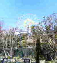 春なのに 2006/04/04 17:34:52