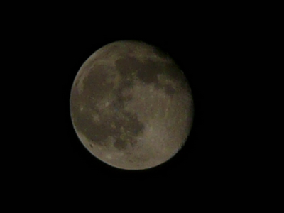十六夜の月