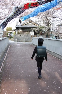 入学式 2008/04/08 14:06:34