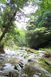 阿多古川にて 2009/08/22 09:00:00