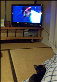 ささやかな応援 2009/10/08 22:53:30