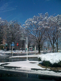 季節外れの大雪 2010/03/31 16:52:04