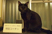 ご相談受け付けます。 2011/10/30 09:00:00