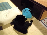 たいへんです！！入院です！！ 2010/03/08 22:35:38