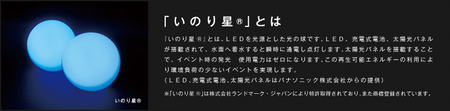 一夜の幻想