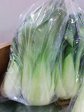 チンゲン菜が安い！ 2008/03/21 09:00:03