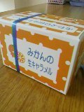 みかんの生キャラメル入荷 2009/04/18 13:15:08