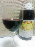 １日遅れの 2009/11/20 21:53:51
