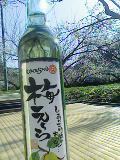 豊岡梅酒で 2010/02/14 09:44:55
