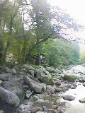設楽オートキャンプ 2010/08/24 15:43:15