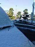 雪国？ 2011/01/17 08:51:03