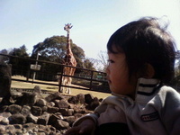 カナゴン！動物園へいく！