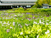 和風モダンなジャパンアート園芸