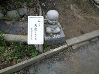 ききょう寺へ
