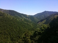 いい天気です 2010/06/17 17:14:12