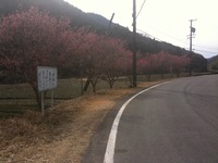 いや～ 2011/02/14 16:23:23