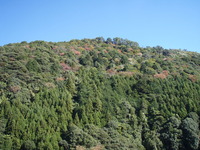 風景が変わってきました 2010/11/10 16:48:50