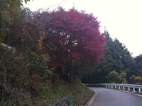 再び 2010/11/26 17:39:07