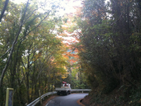 iPhoneで 2010/11/24 07:55:20