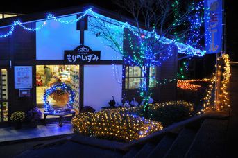 イルミネーション in  もりのいずみ