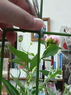 久々のお花のお教室・・・