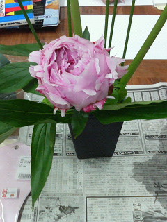 久々のお花のお教室・・・
