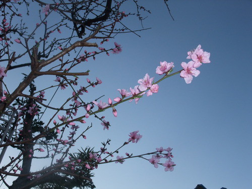 明日から新年度
