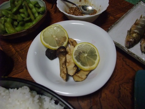 ご馳走様！