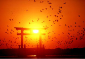 ”とりあえず浜名湖一周”＃２　弁天島夕日