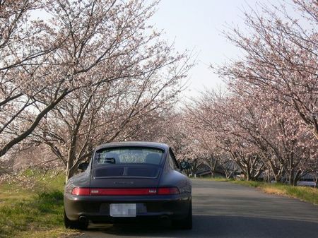 朝ドラ