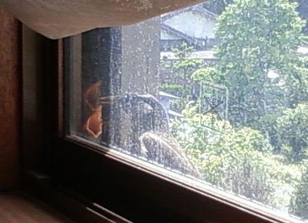 知らん間に