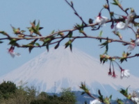 富士山ていいな 2008/04/01 20:06:07