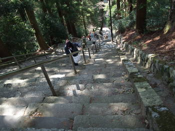 身延山久遠寺枝垂れ桜