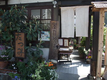 身延山久遠寺枝垂れ桜