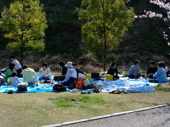 お花見会